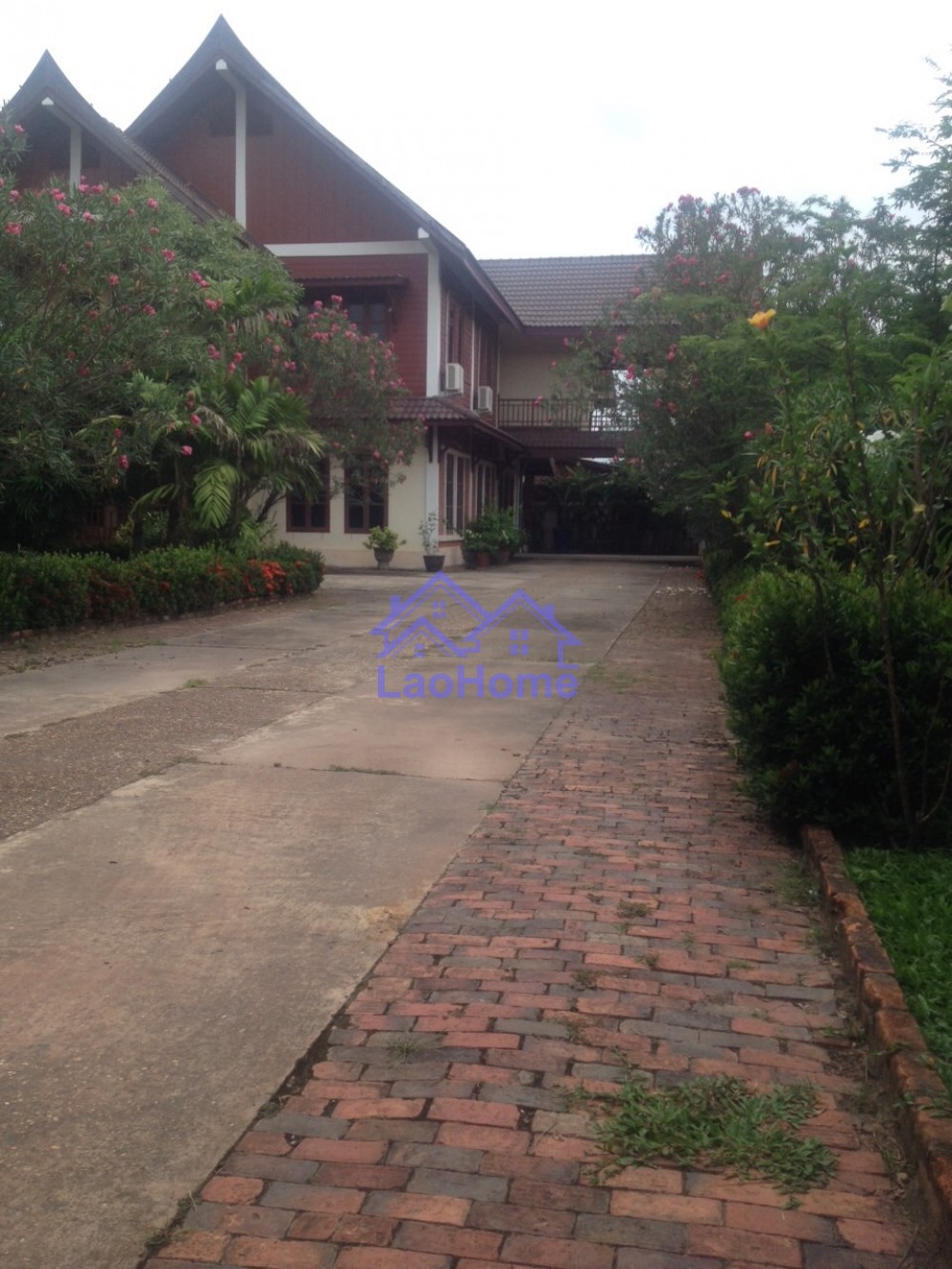 banner-image