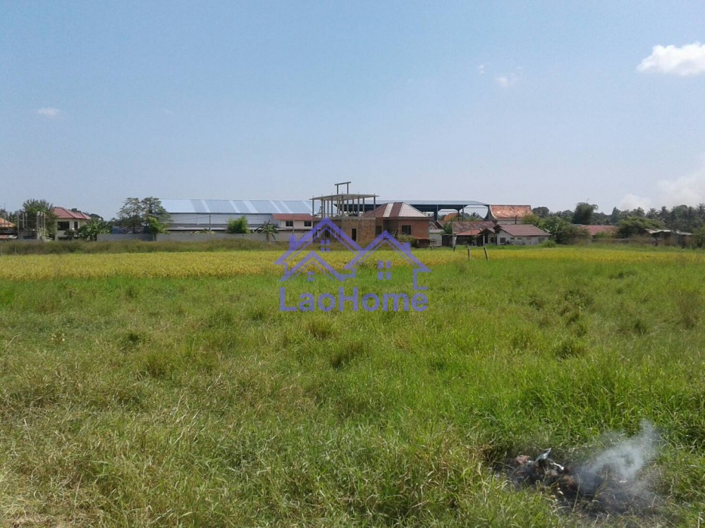 ID: 1255 - land for sale