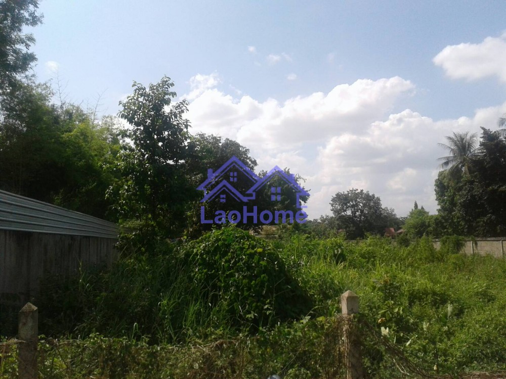 ID: 1257 - Land for rent close the road