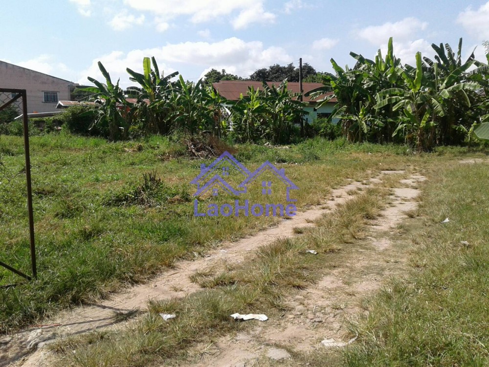 ID: 1258 - Land for rent close the road