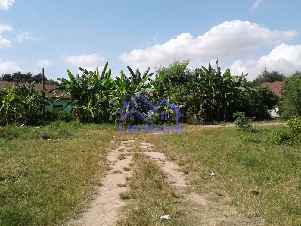 ID: 1258 - Land for rent close the road