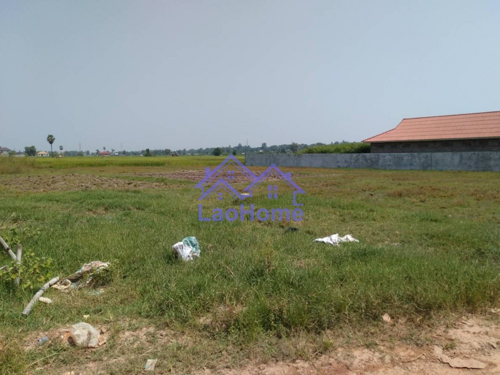ID: 1262 - Large land for sale 