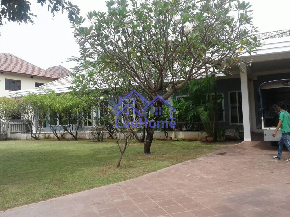ID: 1264 - Modern villa house for with garden and the trees for rent 