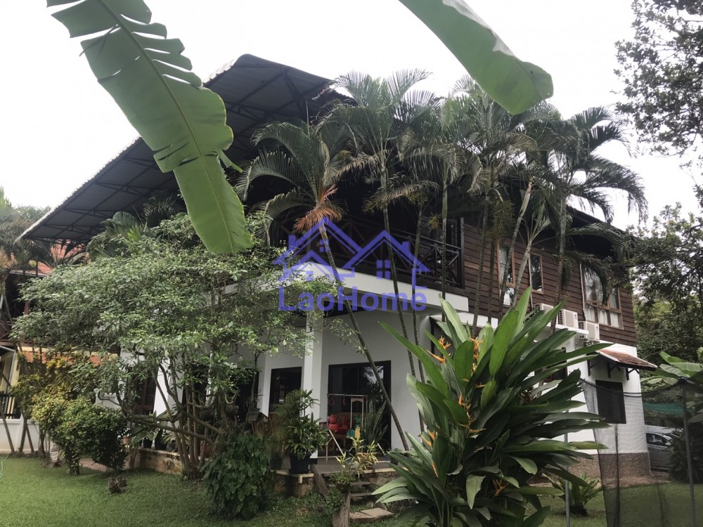 Modern Lao style house with large garden and swimming pool