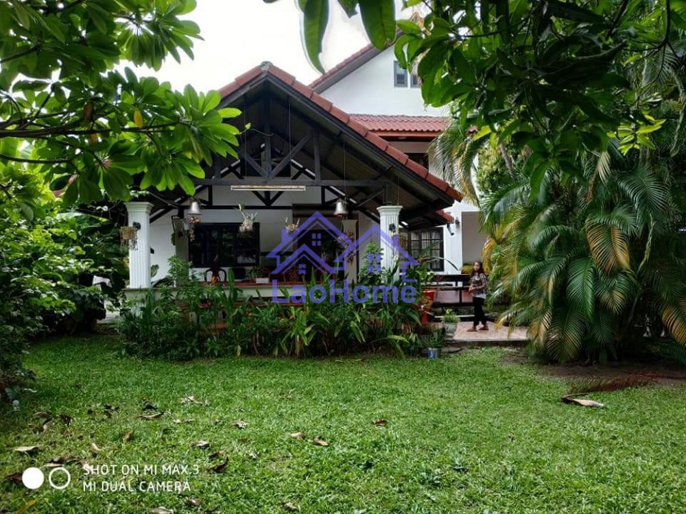 Villa house for rent with garden and tree