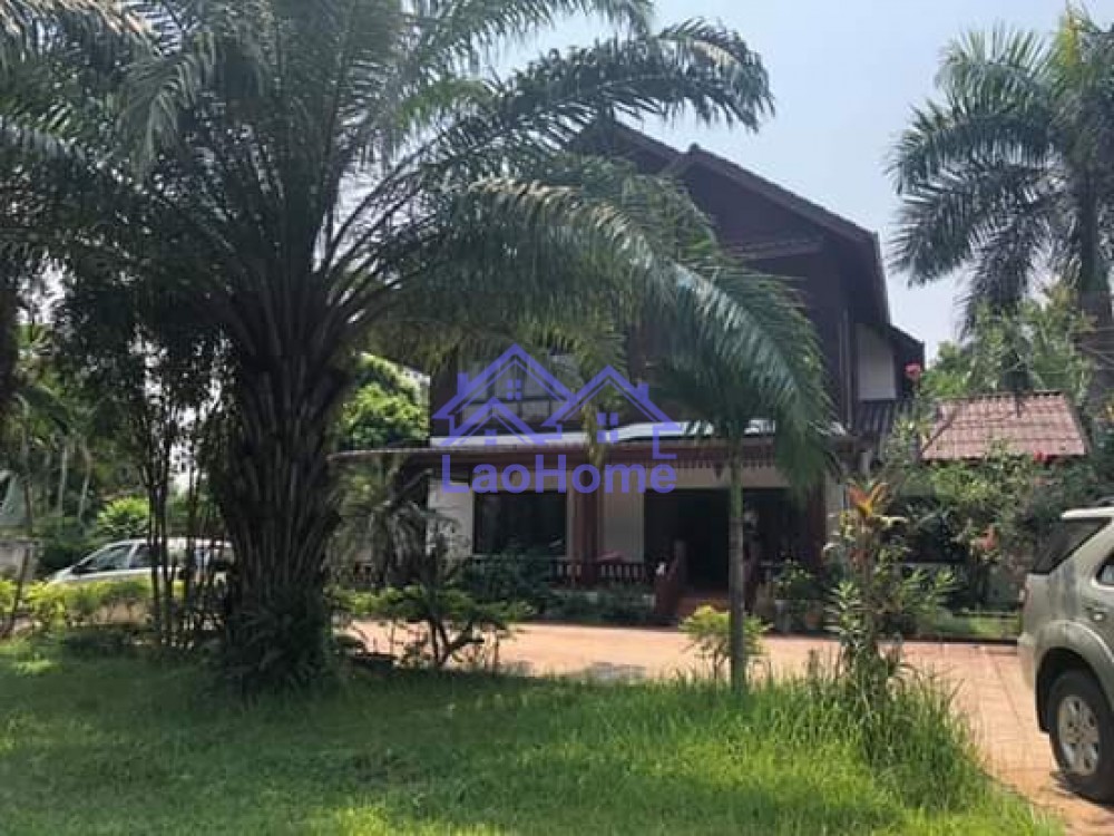 ID: 1419 - Modern Lao style house with garden and trees