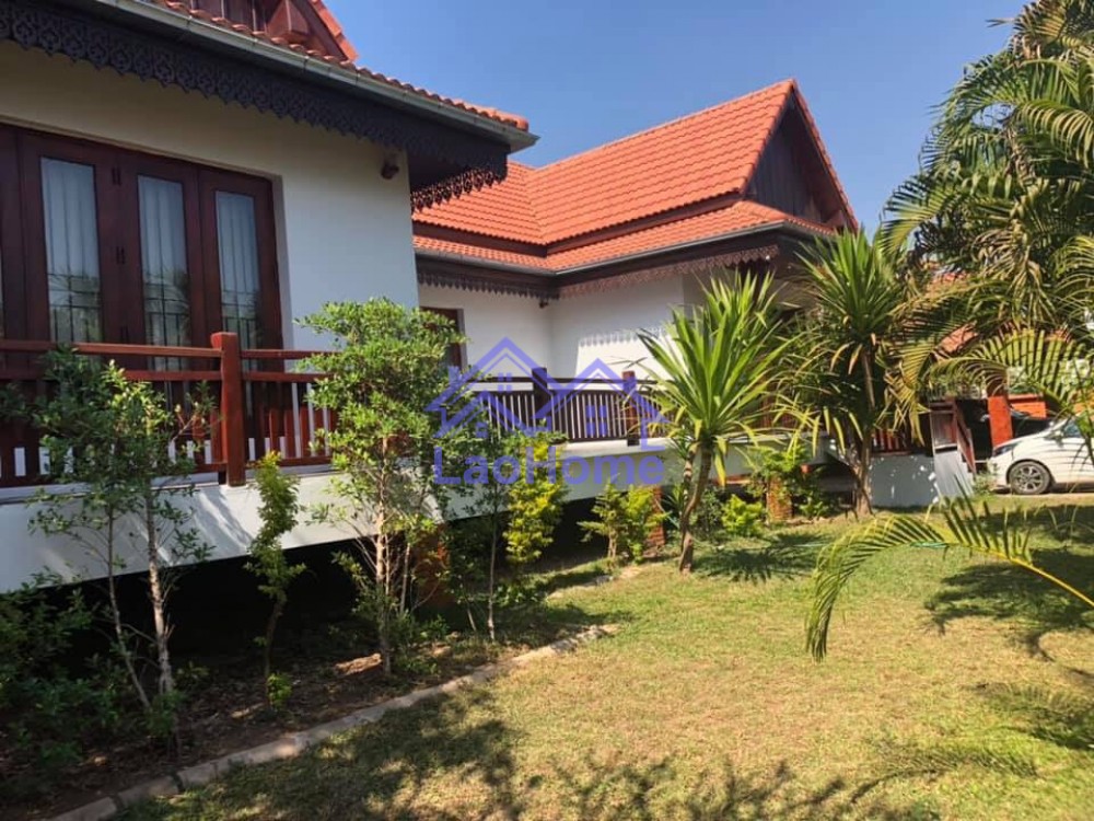 Modern house for rent with garden and trees