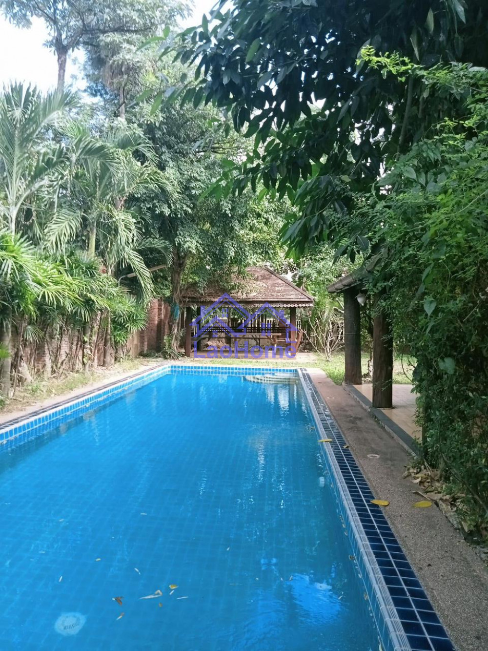 ID: 1482 - Modern Lao style house with garden and swimming pool