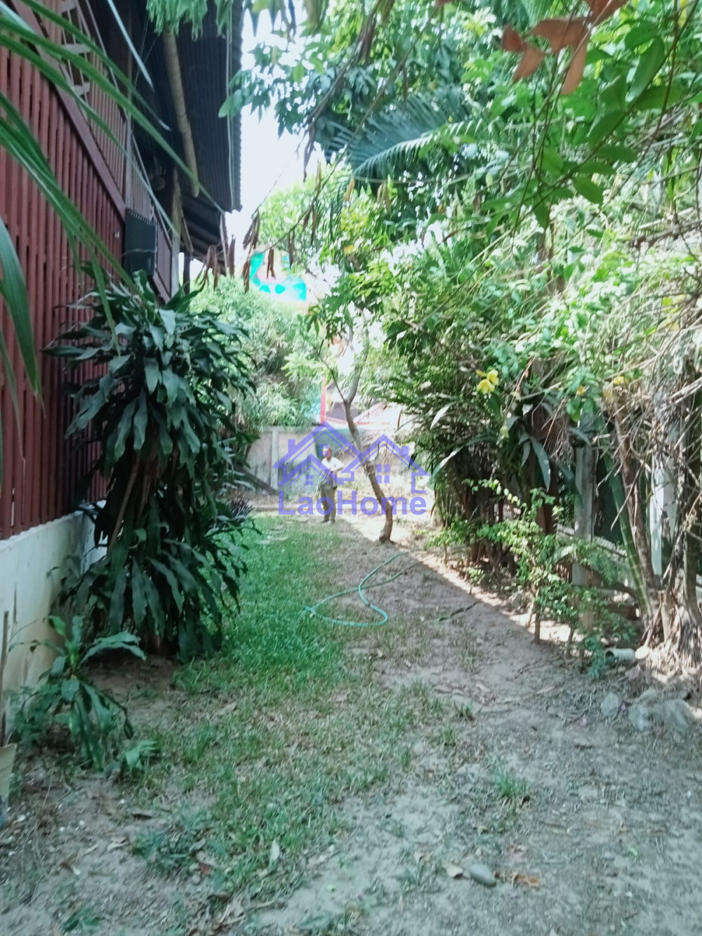 Modern Lao style house with garden 