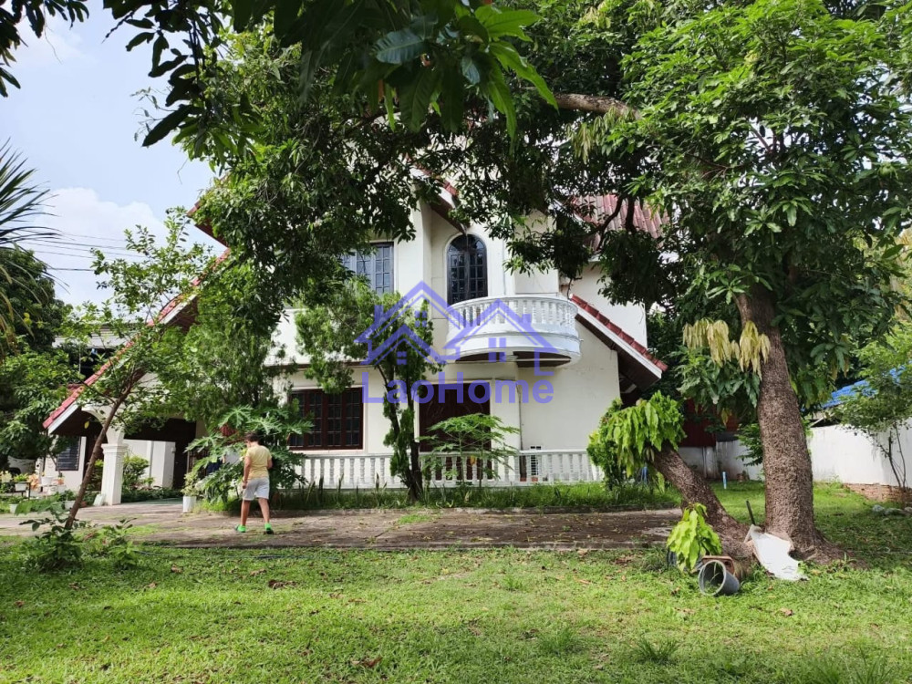 House for rent 