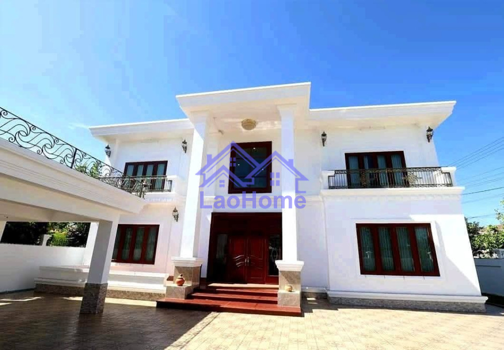 Modern house 