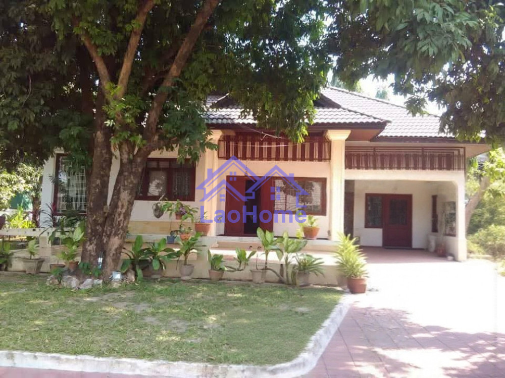 house for rent