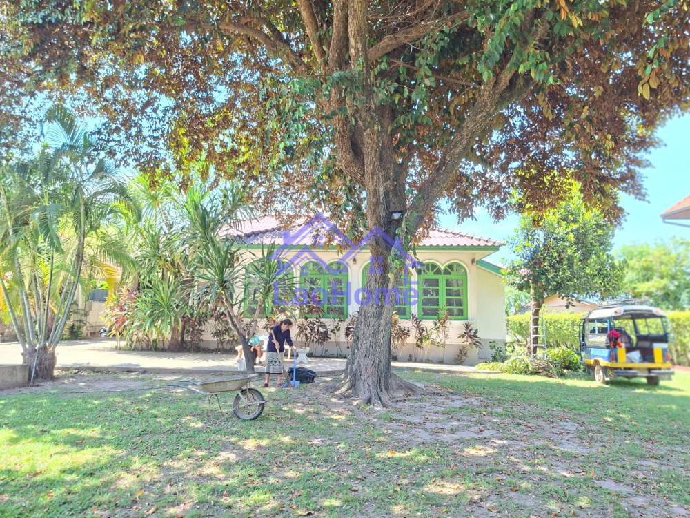 House for rent 